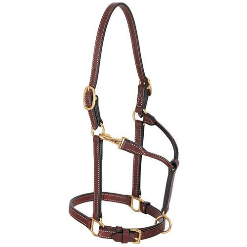 3/4" Double Buckle Crown Halter