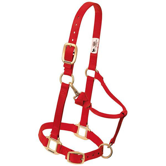 Suckling Halter