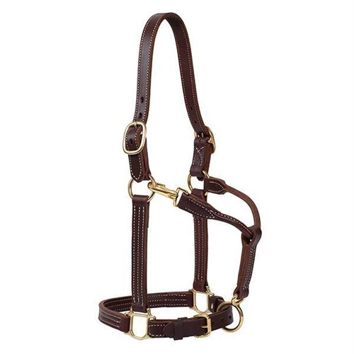 1" Track Halter, Canyon Rose