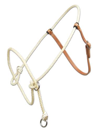 TRAINING HALTER