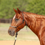 3-Tone Rope Halter and 8-foot Leadrope