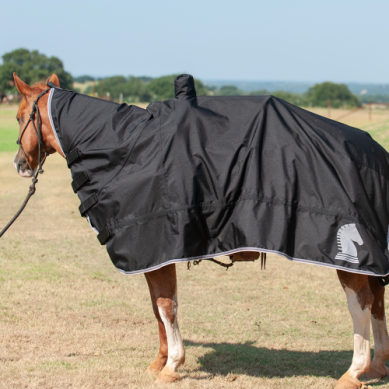 Horse and Saddle Cover