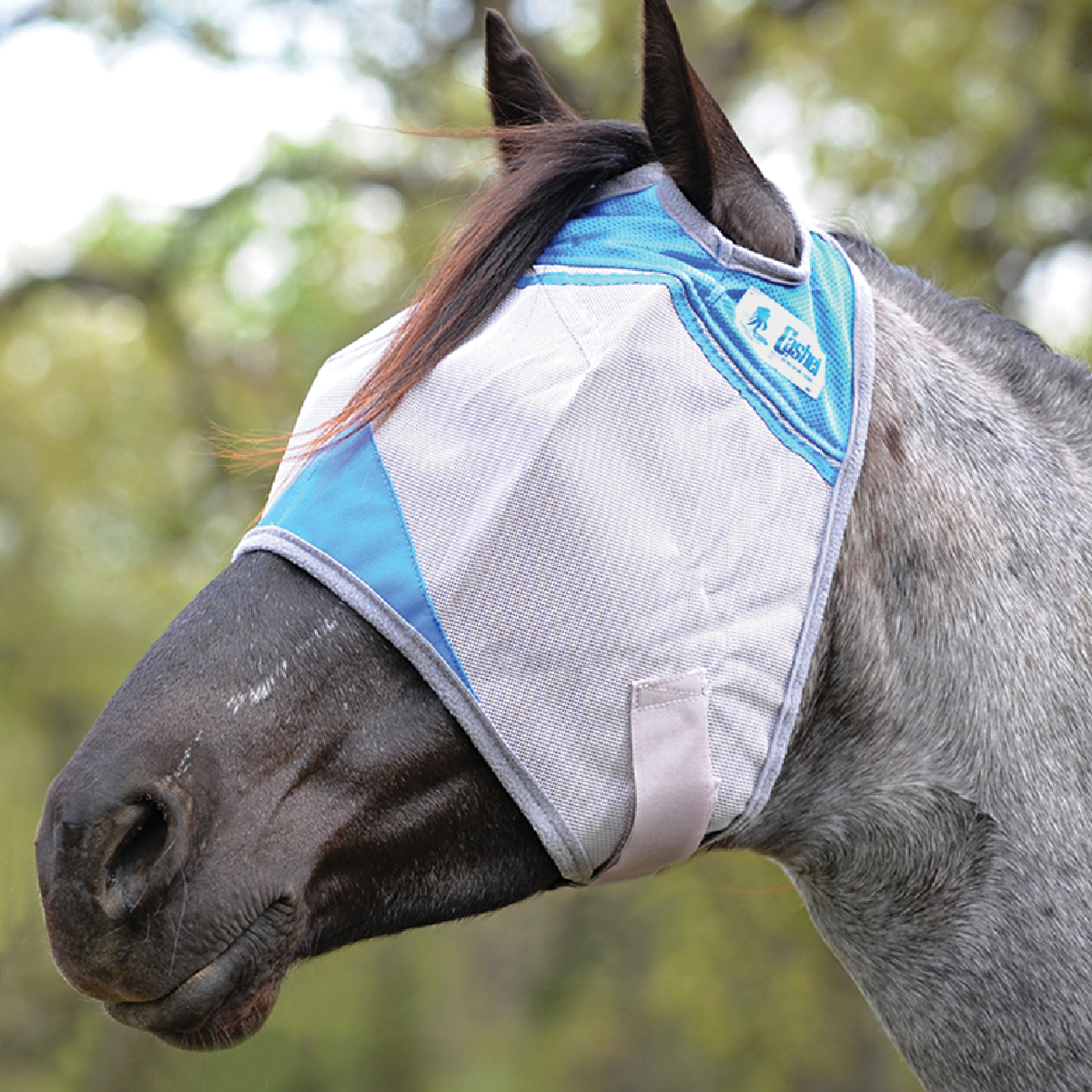 Cashel Crusader Standard Fly Mask with Blue Trim