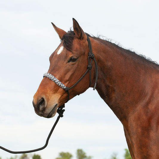 BRAIDED NOSE ROPE HALTER