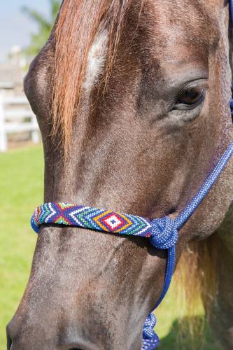 PC Beaded Rope Halter-Royal Blue